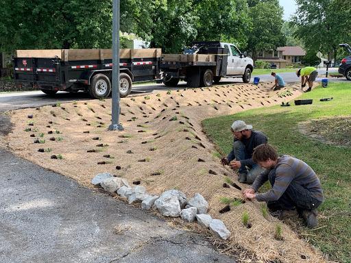 drought tolerant landscaping